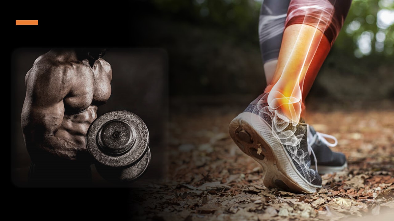 Exercício Físico, muito além das Calorias